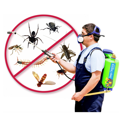 Pest Control Services